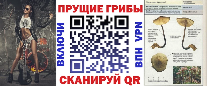 Галлюциногенные грибы Psilocybe  Чухлома 