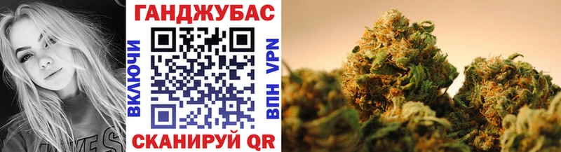 где можно купить   Чухлома  Бошки Шишки план 